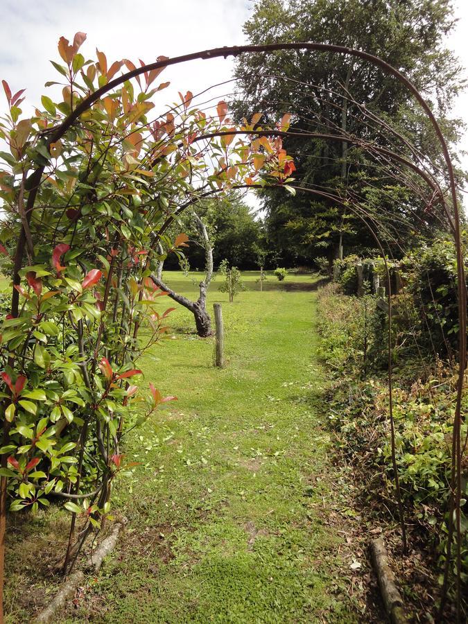 Glendine House Kilkenny Bed & Breakfast Eksteriør bilde