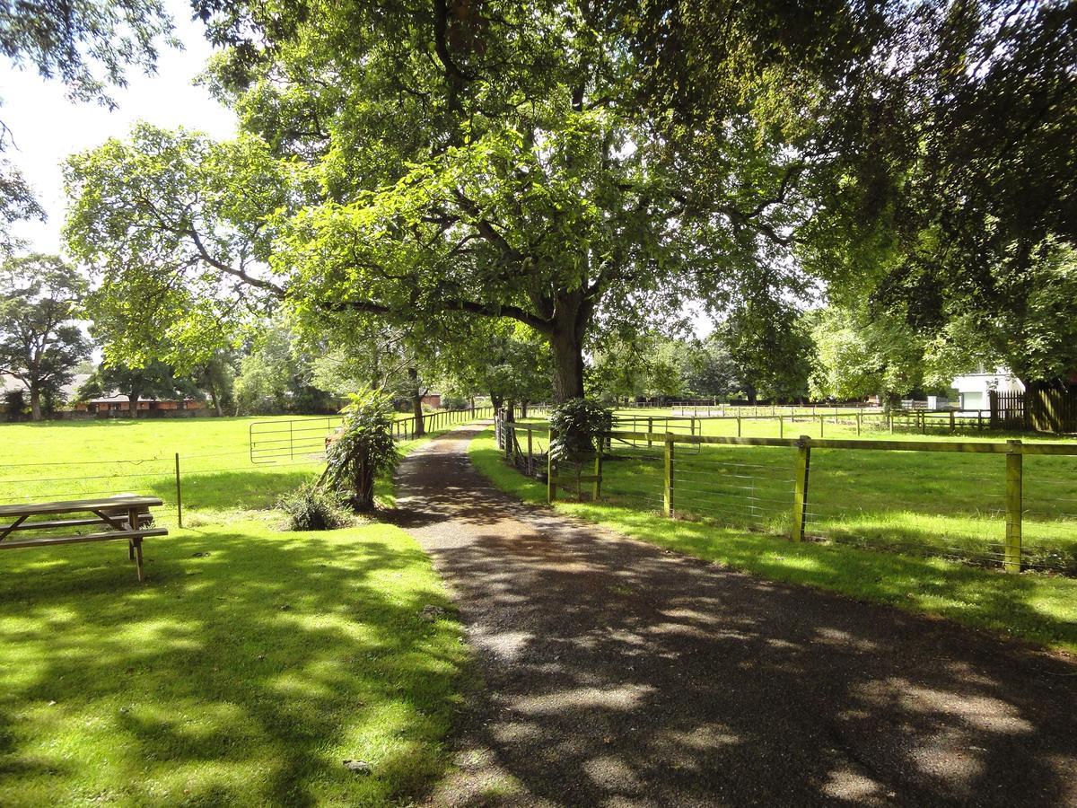 Glendine House Kilkenny Bed & Breakfast Eksteriør bilde